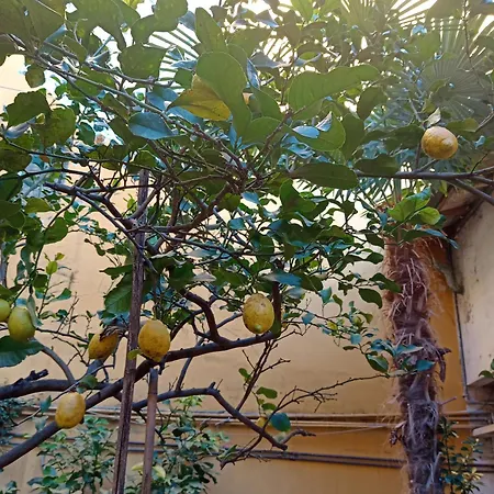 La Casa Del Pittore