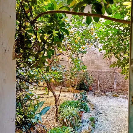 La Casa Del Pittore Apartmán Pietrasanta