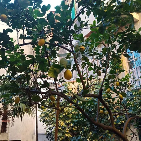 Apartmán La Casa Del Pittore *
